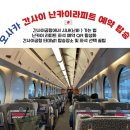 301-2-000006 | 오사카 난카이라피트 좌석 예약 방법 | 간사이공항 타는 곳 ㅣ바우처 QR 탑승 후기