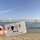 비비드봉