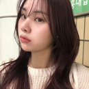 혜은헤어 이미지