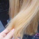어여쁜헤어 네이버블로그