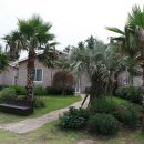 표선 휴 이미지