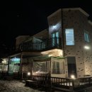 산정파인트리