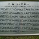 매미터 이미지