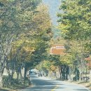 GS25 영월동강점 | 동강시스타CC 가성비골프 1박2일 패키지 가족라운딩