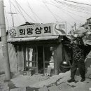 남중상회