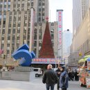 6번가 | 뉴욕 크리스마스의 정석! 라디오 시티 ‘크리스마스 스펙타큘러’ 직관 후기 (예매/꿀팁)