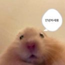 안 된다 못한다 하지 말고 긍정적으로~🍀