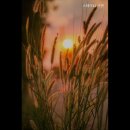 스테이42 이미지