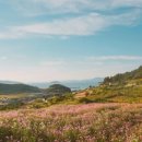 학림민박 이미지