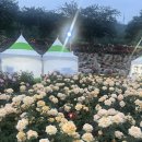 신짜오삼척베트남쌀국수