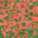 밤나무곡 | EP 서성이는 마음들 후기