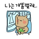 피슈마라홍탕 이미지