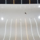 워시코트 디테일링 이미지