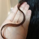 커반헤어 | 포일동미용실 살롱더하우스 셋팅펌 후기