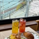 휴먼아리아 이미지