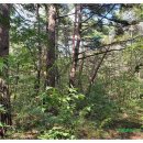 여삼리마을회관 이미지