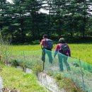 영월지맥상 봉화산(670m).덕고산(703m).구남봉(538m)/강원횡성 이미지