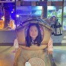 서마루농장 네이버블로그
