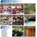 교동장독대마을 이미지