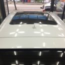 키다리광택 이미지