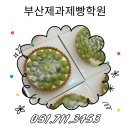 데코레이션영 | 부산 제과제빵 학원 추천, 코리아요리아트아카데미 영파티쉐 리얼 후기