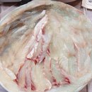 거제도해송횟집 지세포본점 | 거제도 횟집 맛집 추천 해송횟집 지세포 본점 스페셜회 한상 16만원 내돈내먹 후기(거제도 맛집 추천)