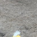 보느몽뜨 이미지