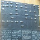 대박기원농장 이미지