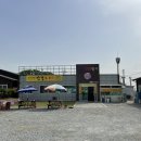 만경오리