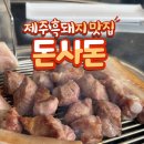 돈사돈구좌흑돼지 네이버블로그