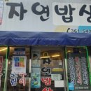 자연선어