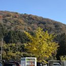 대왕카정비 | 2박 3일 후쿠오카 여행🍮🍁 :: 11월 후쿠오카 소도시 당일투어 / 하카타, 텐진 맛집과 쇼핑까지 꿀팁과...