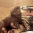 마곡M동물의료센터 이미지