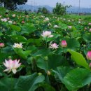 초전공원 이미지