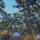 학암포자동차야영장 이미지