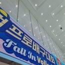 통영 도드람컵 KOVO컵 프로배구대회 남자 결승전 후기