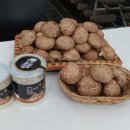 노루땅농장 이미지