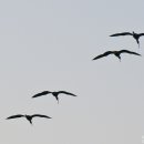 천상의 보금자리 이미지