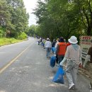 곡성-200 이미지