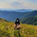육백마지기 이미지