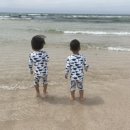 화신종합동물병원 이미지