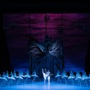 국립발레단 ’백조의 호수’ 이미지