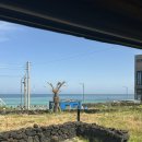 풍차 | 제주 월정리 오션뷰 펜션 '페이지 인 월정' 105page 후기, 통창 뷰깡패 구좌읍 숙소, 장기숙박 추천