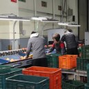 안동농협농산물공판장 이미지