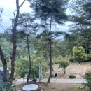 청주근교 숙소 미원 가볼만한곳, 동보원자연휴양림