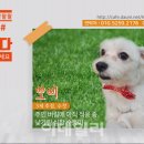 (주)반려애수 이미지