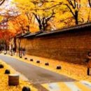 보람삼성공인중개사사무소 이미지