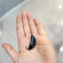 스마일보청기 네이버블로그