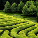 문덕면사무소 | 보성군 스탬프 투어에 대해서 소개드려요~