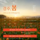 2024 경주국악여행 국악열전 이미지